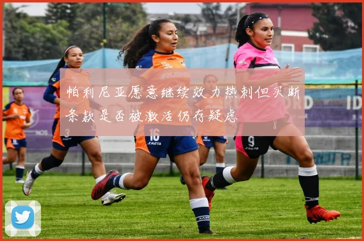 帕利尼亚愿意继续效力热刺但买断条款是否被激活仍存疑虑